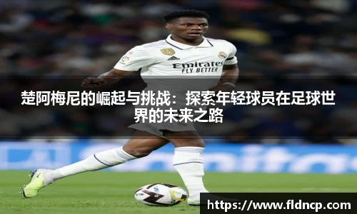 emc易倍体育官方网站